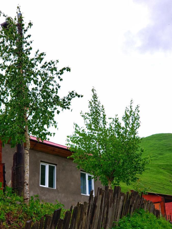 Guest House Data Ushguli Exterior foto